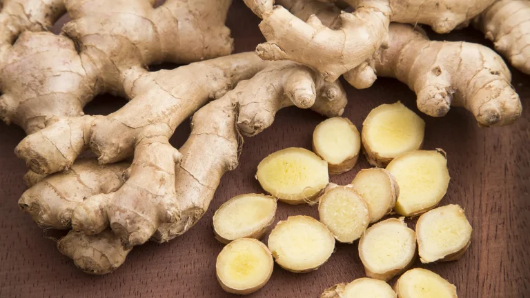 Zingiber officinale 2