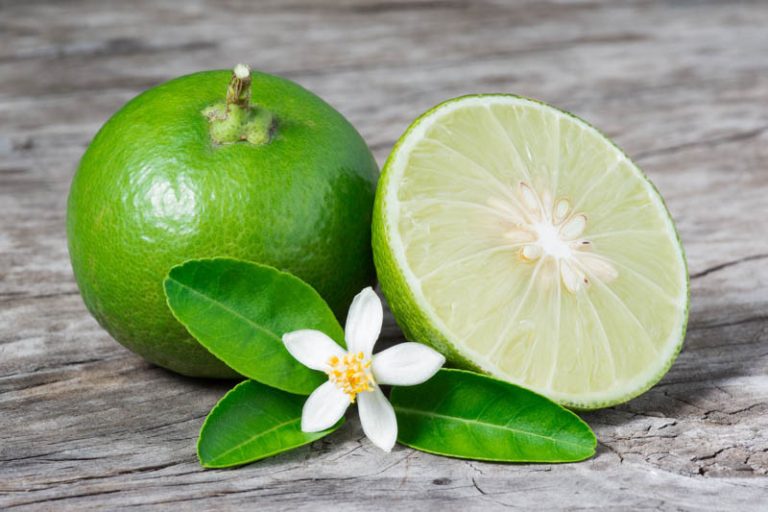 Citrus aurantifolia (1)
